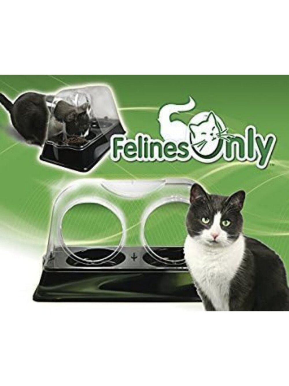Veterinarian-Designed Cat Dish - Elevated Feeding Bowl Keeps Dogs Away